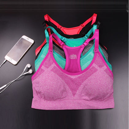Fitness Sports Bra