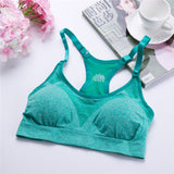 Fitness Sports Bra