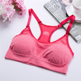 Fitness Sports Bra