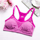 Fitness Sports Bra